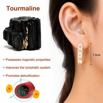 (🔥 LAST DAY SALE-80% OFF) 💎Czticle® Histone Magnetology Lymphvity Germanium Earrings