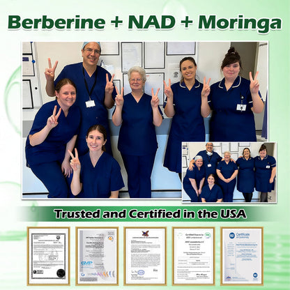 🔥 Customer Favorite | Purelora® Moringa Berberine × NAD⁺ 10-in-1 Nano Microneedle Patch (Just once daily, visible changes in 7 days) ✅ Supports weight management, loose skin, diabetes care, sleep apnea, joint comfort, and more